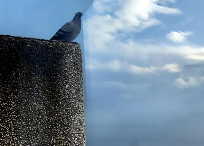 Vistas A La Ria Y Garaje En El Castro, Centro Comarca de Vigo